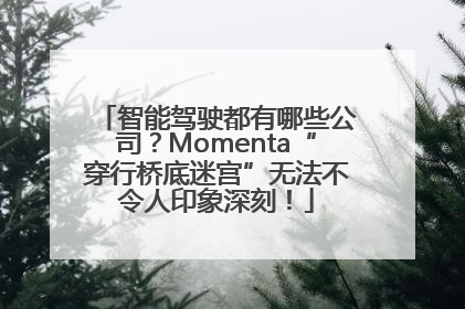 智能驾驶都有哪些公司？Momenta“穿行桥底迷宫”无法不令人印象深刻！