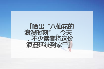 晒出“八仙花的浪漫时刻”，今天，不少读者将这份浪漫延续到家里