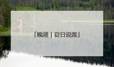 晚潮｜夏日说莲