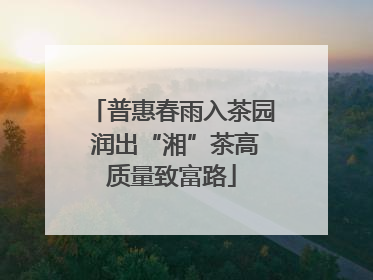 普惠春雨入茶园 润出“湘”茶高质量致富路