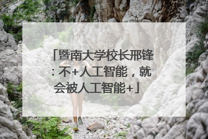 暨南大学校长邢锋：不+人工智能，就会被人工智能+