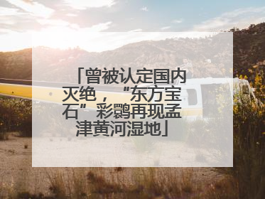 曾被认定国内灭绝，“东方宝石”彩鹮再现孟津黄河湿地