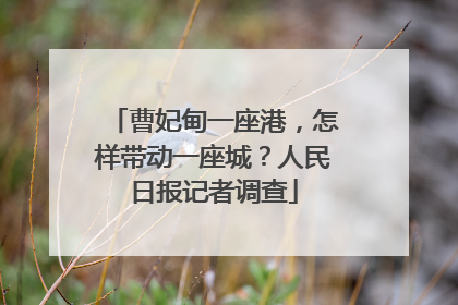 曹妃甸一座港，怎样带动一座城？人民日报记者调查