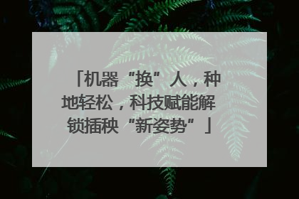 机器“换”人，种地轻松，科技赋能解锁插秧“新姿势”