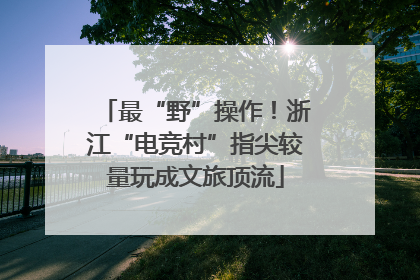 最“野”操作！浙江“电竞村”指尖较量玩成文旅顶流