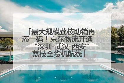 最大规模荔枝助销再添一码！京东物流开通“深圳-武汉-西安” 荔枝全货机航线