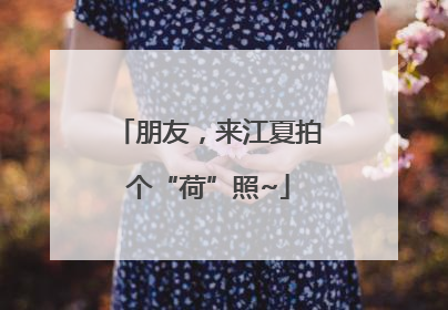 朋友，来江夏拍个“荷”照~