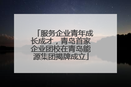 服务企业青年成长成才，青岛首家企业团校在青岛能源集团揭牌成立