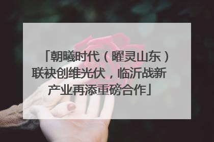 朝曦时代（曜灵山东）联袂创维光伏，临沂战新产业再添重磅合作