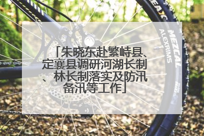 朱晓东赴繁峙县、定襄县调研河湖长制、林长制落实及防汛备汛等工作