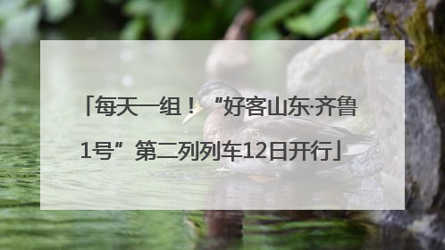 每天一组！“好客山东·齐鲁1号”第二列列车12日开行