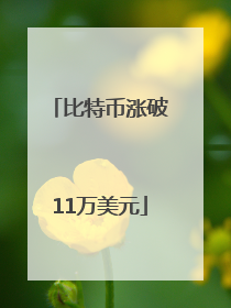比特币涨破11万美元