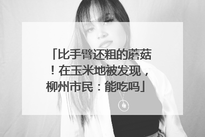 比手臂还粗的蘑菇！在玉米地被发现，柳州市民：能吃吗