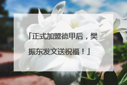 正式加盟德甲后，樊振东发文送祝福！