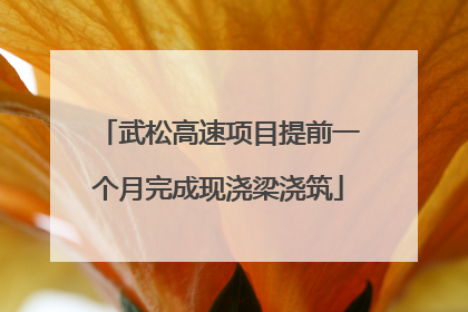 武松高速项目提前一个月完成现浇梁浇筑