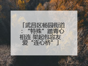 武昌区杨园街道：“特殊”踏青心相连 架起包容友爱“连心桥”
