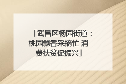 武昌区杨园街道：桃园飘香采摘忙 消费扶贫促振兴