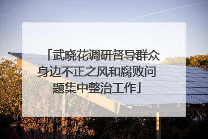 武晓花调研督导群众身边不正之风和腐败问题集中整治工作
