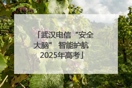 武汉电信“安全大脑” 智能护航2025年高考