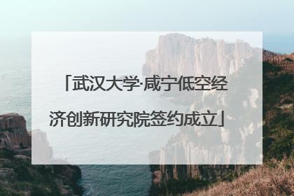 武汉大学·咸宁低空经济创新研究院签约成立