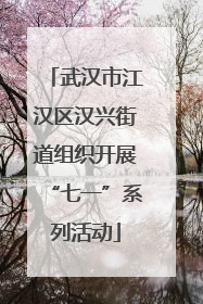 武汉市江汉区汉兴街道组织开展“七一”系列活动