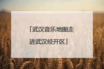 武汉音乐地图走进武汉经开区