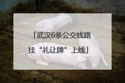 武汉6条公交线路挂“礼让牌”上线