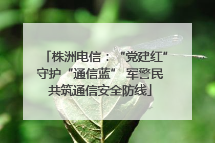 株洲电信:“党建红”守护“通信蓝” 军警民共筑通信安全防线