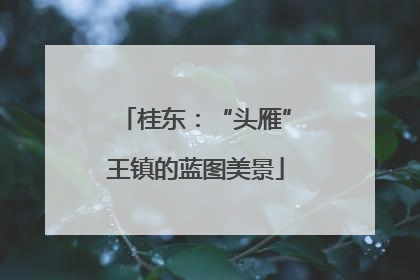 桂东：“头雁”王镇的蓝图美景