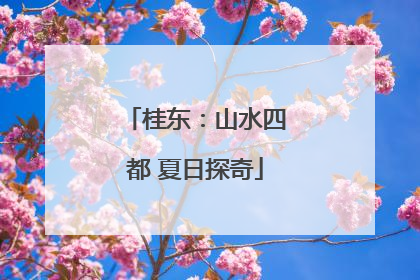 桂东：山水四都 夏日探奇