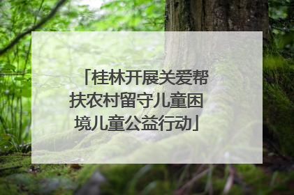 桂林开展关爱帮扶农村留守儿童困境儿童公益行动