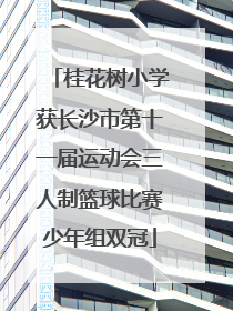 桂花树小学获长沙市第十一届运动会三人制篮球比赛少年组双冠