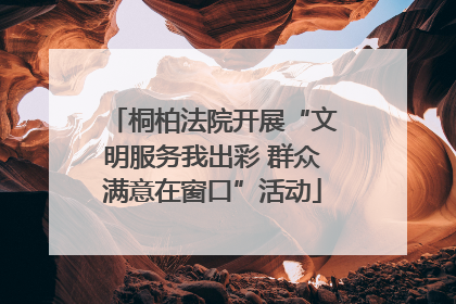 桐柏法院开展“文明服务我出彩 群众满意在窗口”活动