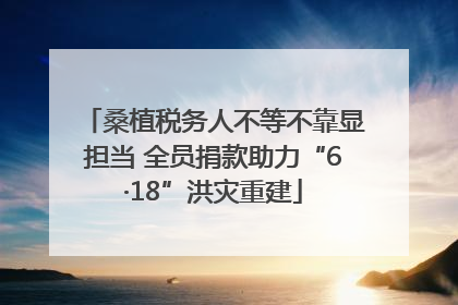 桑植税务人不等不靠显担当 全员捐款助力“6·18”洪灾重建
