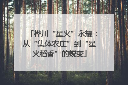 桦川“星火”永耀：从“集体农庄”到“星火稻香”的蜕变