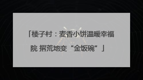 楼子村：麦香小饼温暖幸福院 撂荒地变“金饭碗”