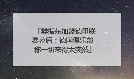 樊振东加盟德甲联赛幕后：德国俱乐部称一切来得太突然