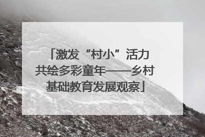 激发“村小”活力 共绘多彩童年——乡村基础教育发展观察