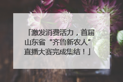 激发消费活力，首届山东省“齐鲁新农人”直播大赛完成集结！