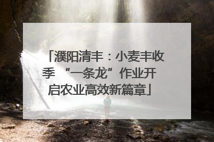 濮阳清丰：小麦丰收季 “一条龙”作业开启农业高效新篇章