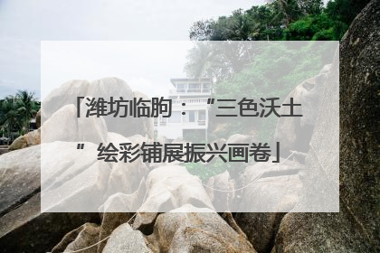 潍坊临朐：“三色沃土”绘彩铺展振兴画卷