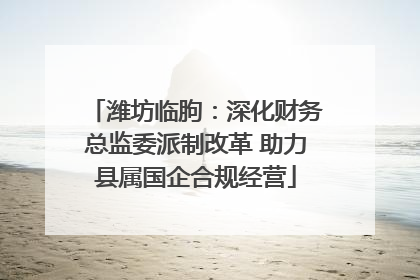 潍坊临朐：深化财务总监委派制改革 助力县属国企合规经营