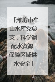潍坊市牟山水库党总支：科学调配水资源 保障区域供水安全