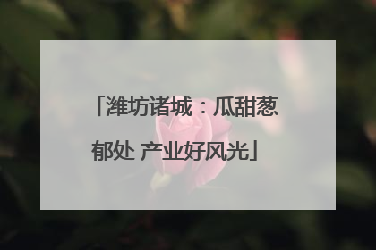 潍坊诸城：瓜甜葱郁处 产业好风光