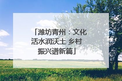 潍坊青州：文化活水润沃土 乡村振兴谱新篇