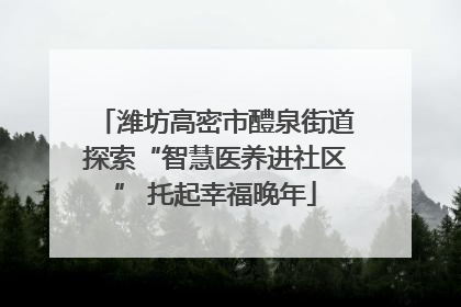 潍坊高密市醴泉街道探索“智慧医养进社区” 托起幸福晚年