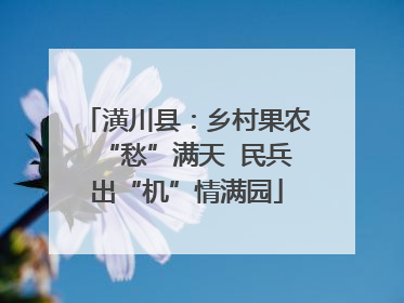 潢川县：乡村果农“愁”满天  民兵出“机”情满园