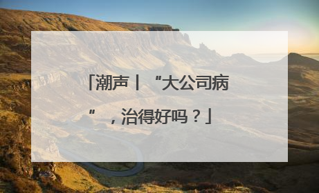 潮声丨“大公司病”，治得好吗？
