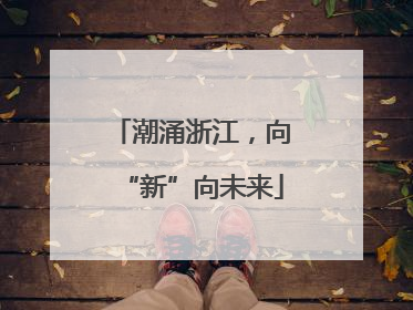 潮涌浙江，向“新”向未来
