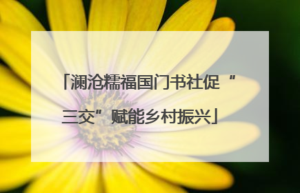 澜沧糯福国门书社促“三交”赋能乡村振兴